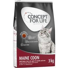 Concept for Life Maine Coon Kylling OPSKRIFT!