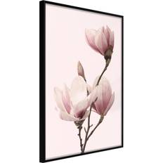 Artgeist ramme Blooming Magnolias III Plakat