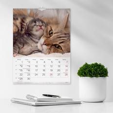 Mayland Kontorartikler Mayland Vægkalender Katte 2024