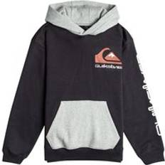 Quiksilver Bomuld Sweatere Quiksilver Logo Print Hoodie in Cotton Mix