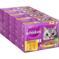 Whiskas Katte - Vådfoder Kæledyr Whiskas 7+ katzenfutter nassfutter geflügel auswahl gelee 12x85g 4