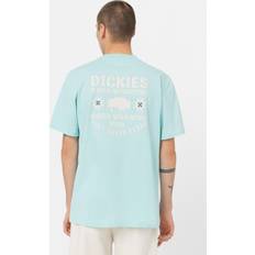 Jersey - Turkis T-shirts Dickies Hays Short Sleeve T-Shirt Man Pastel Turquoise