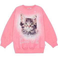 164 Sweatshirts Børnetøj Molo Monti Sweatshirt, Love Cat
