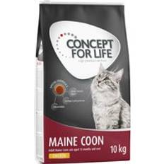 Concept for Life 2x10kg Maine Coon Adult kattefoder