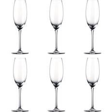 Rosenthal Opvaskemaskineegnede Glas Rosenthal Thomas Divino Champagneglas 19cl 6stk