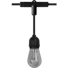 Dæmpbare Lyskæder LEDVANCE Smart + String Light Black/Clear Lyskæde 12 Pærer