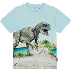 Molo 176 Børnetøj Molo T-shirt Beach Dino