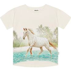 Molo 140 Børnetøj Molo Horse On Beach Raeesa T-Shirt-128