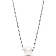 Pandora Perler - Sølv Halskæder Pandora Treated Cultured Collier Necklace - Silver/Pearl/Transparent