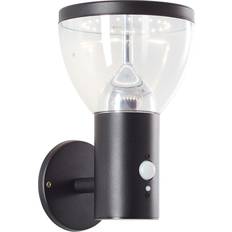 Brilliant LED-belysning Lamper Brilliant LED Solar Tulip Wandlampe