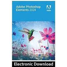 Photoshop Adobe Photoshop Elements 2024 Graphic editor 1 licenses