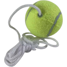 Amo Kaniner Legetøj Amo Pole Tennis Ball