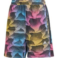 Adidas Dame - Gul Bukser & Shorts adidas SPORTSWEAR Sportsbukser 'Tiro Q2' azur gul pink sort azur gul pink sort