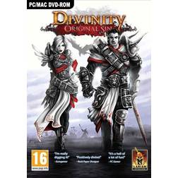 Divinity: Original Sin (PC)