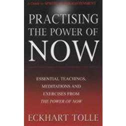 Practising the Power of Now (Hæftet, 2002)
