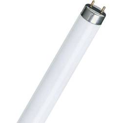 Philips Master TL-D 90 Graphica Fluorescent Lamp 36W G13 950