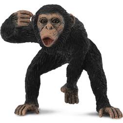 Collecta Chimpanzee Male 88492