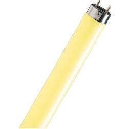 Philips TL-D Colored Fluorescent Lamp 18W G13 160