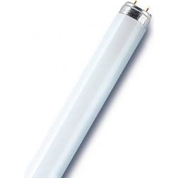 Osram L Fluorescent Lamp 36W G13 827