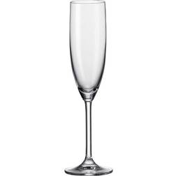 Leonardo Daily Champagneglas 20cl 6stk