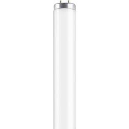 Osram L SA Fluorescent Lamp 65W G13