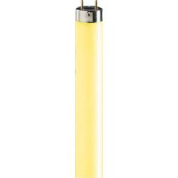 Philips TL-D Colored Fluorescent Lamp 36W G13 160