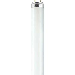 Osram Lumilux T8 Fluorescent Lamp 23W G13