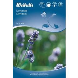 Weibulls Lavendel