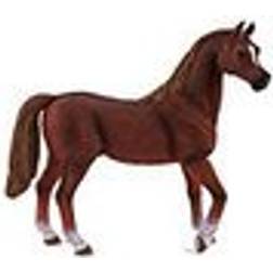 Mojo Arabian Stallion Chestnut 387084