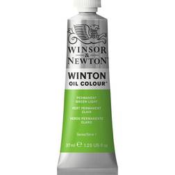 Winsor & Newton Winton Oil Color Permanent Green Light 37ml