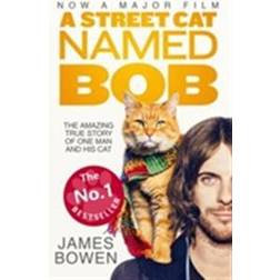 A Street Cat Named Bob: How One Man and His Cat Found Hope on the Streets (Hæftet, 2016)