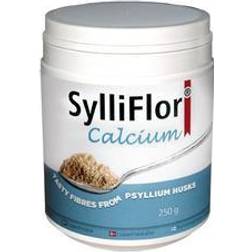 Biodane Pharma SylliFlor Calcium 250g