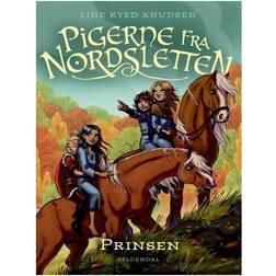 Pigerne fra Nordsletten 1 - Prinsen (Lydbog, MP3, 2018)