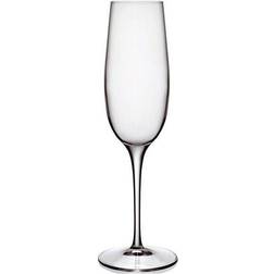 Luigi Bormioli Palace Champagneglas 23.5cl 6stk