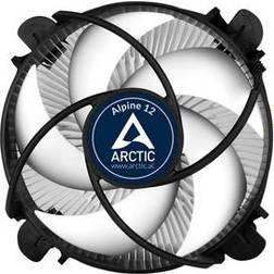Arctic Alpine 12