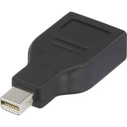 Renkforce DisplayPort Mini-DisplayPort M-F Adapter
