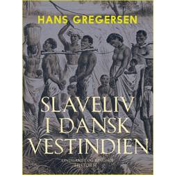Slaveliv i Dansk Vestindien (E-bog, 2019)