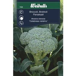 Weibulls Broccoli