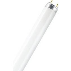 LEDVANCE L Fluorescent Lamp 58W G13 827