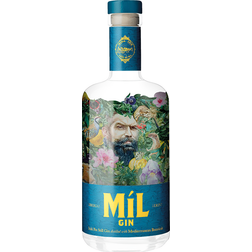 Gin 42% 70 cl