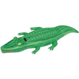 Crocodile Swim