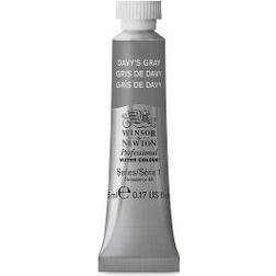 Winsor & Newton Professional Water Color Davy's Gray 5ml