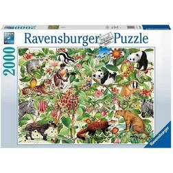 Ravensburger Jungle 2000 Pieces
