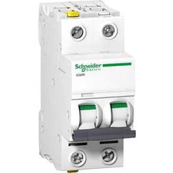 Schneider Electric Automatsikring Ic60n 2p 10a C