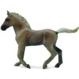 Collecta figurine Rocky Mountain foal (COLL0509)
