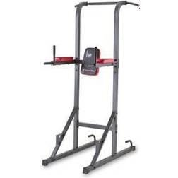 inSPORTline Multi-Purpose Pull-Up Station Power Tower PT80