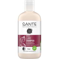 SANTE Naturkosmetik Shampoo Shine Birch Leaf 250ml