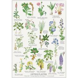 Koustrup & Co. Poisonous Plants Plakat 29.7x21cm