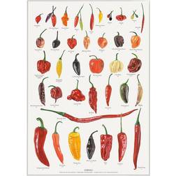Koustrup & Co. Chili Plakat 42x59.4cm