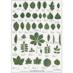 Koustrup & Co. Leaves of the Trees Plakat 42x59.4cm